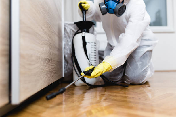 Best Local Pest Control Services  in Davenport, FL