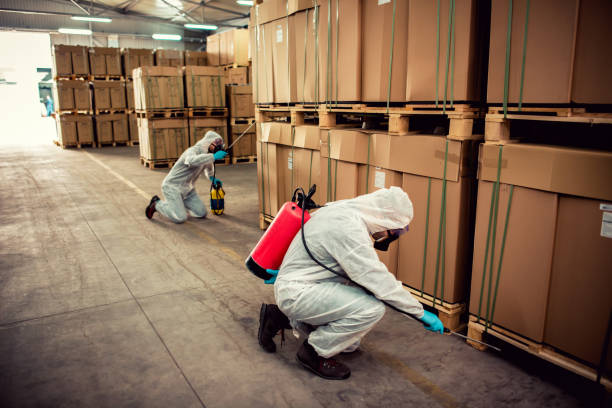 Best Flea Control Services  in Davenport, FL