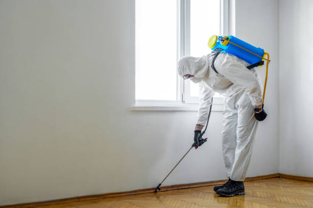 Best Cockroach Control Services  in Davenport, FL
