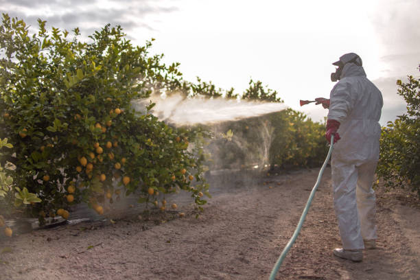 Reliable Davenport, FL Pest Control Solutions