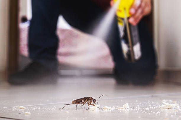 Best Exterminator Services  in Davenport, FL