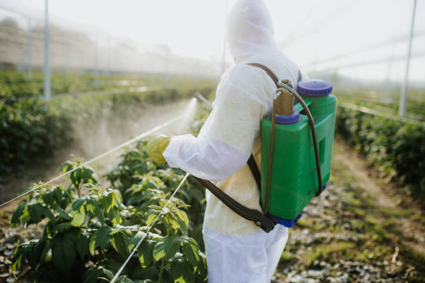 Best Residential Pest Control  in Davenport, FL